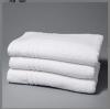 SPUGNA VISO SORRENTO GR. 360 gr/mq CM 50X90